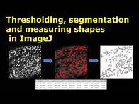 Video thumbnail for Thresholding segmentation and measuring shapes in ImageJ