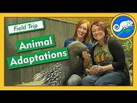 Video thumbnail for Adaptations at Animal Wonders - Field Trip