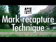 Video thumbnail for Ant Course Presents: Mark-recapture Technique