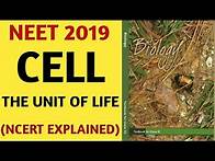 Video thumbnail for NCERT/Chapter 8/Cell:-The Unit Of Life/Class 11/Quick Revision Series/NEET/AIIMS/Biology/2019
