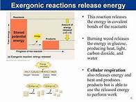 Video thumbnail for Chapter 7- Microbial Metabolism