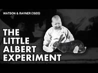 Video thumbnail for The Little Albert Experiment | Watson & Rayner (1920)