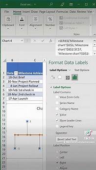 Video thumbnail for How to create a timeline chart with excel #exceltraining