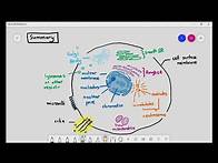 Video thumbnail for 1-8 Organelles in an animal cell (a summary) (Cambridge International A Level Biology)