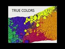 Video thumbnail for True Colors Personality Test Meaning