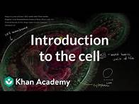 Video thumbnail for Introduction to the cell | Cells | High school biology | Khan Academy