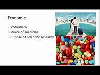 Video thumbnail for 4.2.1 Biodiversity g) Ecological, economic and aesthetic reasons to maintain biodiversity