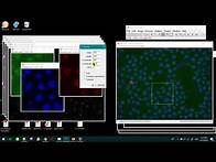 Video thumbnail for How to crop specific region in image J #imagej #imageprocessing