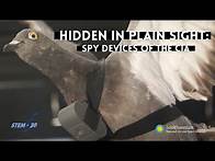 Video thumbnail for Hidden in Plain Sight: Spy Devices of the CIA