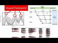 Video thumbnail for Speech Acoustics 5 - vowel formants