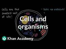 Video thumbnail for Cells and Organisms | Middle school biology | Khan Academy