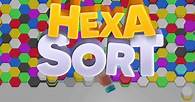 Video thumbnail for Hexa Sort 🕹️ Play on CrazyGames