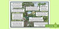 Video thumbnail for KS2 Tropical Rainforests Descriptive Word Mat