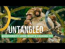 Video thumbnail for Untangled: Biodiversity loss - what on Earth is causing it?