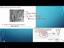 Video thumbnail for Science - Biology - Year 10 - Revision - Walking talking year 10 mock examination higher tier 2022