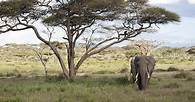 Video thumbnail for Why is biodiversity important?