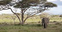 Video thumbnail for Why is biodiversity important?