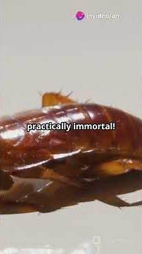 Video thumbnail for "Top 10 Animals With Astonishing Healing Abilities 🦋🔬 (Nature’s True Healers!)"