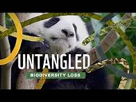 Video thumbnail for Untangled: Biodiversity loss - why should you care?