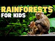 Video thumbnail for Rainforests for Kids | Learn all about the two types of rainforests