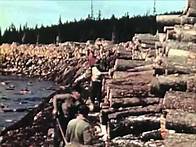 Video thumbnail for 1950s Sawmill Workers Educational Documentary - Timber In The Northeast - CharlieDeanArchives
