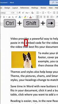 Video thumbnail for 5 Keyboard Shortcuts to Select Text in Microsoft Word #shorts