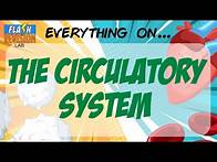 Video thumbnail for GCSE Biology: Exam Revision | The Circulatory System