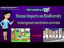 Video thumbnail for Human Impacts on Biodiversity | Endangered and Extinct Animals | Ecology, Environment | Science