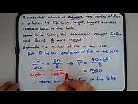 Video thumbnail for How to use capture-recapture method / technique to estimate population size from sample