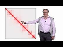 Video thumbnail for Jan-Michael Peters (IMP) 2: How do Cohesin and CTCF Fold DNA in Mammalian Genomes?