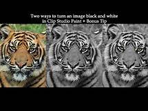 Video thumbnail for How to turn an image black and white – Clip Studio Paint Tutorial