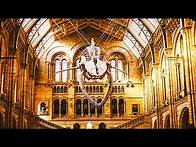Video thumbnail for Natural History Museum - Complete Virtual Tour
