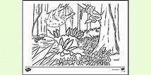 Video thumbnail for Rainforest Colouring Sheet