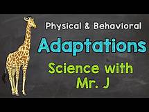 Video thumbnail for What are Adaptations? | Physical Adaptations & Behavioral Adaptations