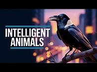 Video thumbnail for The 30 Most Intelligent Animals in the World Might Surprise You!