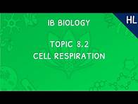 Video thumbnail for IB Biology Topic 8.2 (HL): Respiration