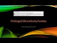 Video thumbnail for FIJI (ImageJ): ROIs and Overlay Functions