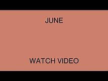 Video thumbnail for Classic Iron Door Design | June- Double Full Arch | Pinky's Iron Door