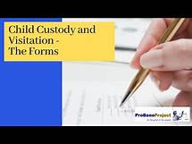 Video thumbnail for 2. Custody and Visitation - The Forms