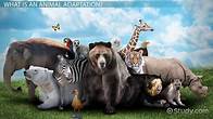 Video thumbnail for Animal Adaptations: Lesson for Kids