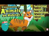 Video thumbnail for HABITAT OF ANIMALS | Classification Of Animals On Habitat | The Dr Binocs Show | Peekaboo Kidz