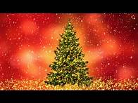 Video thumbnail for Twinkle Lights Christmas Tree 9 Colored Backgrounds Free Download Merry Christmas!