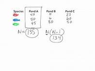 Video thumbnail for Calculating Biodiversity