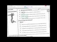 Video thumbnail for 2014 HKDSE Paper 3 Part B1 Task 5