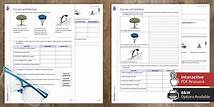 Video thumbnail for Year 7 - Year 8 Science Forces and Motion Differentiated Worksheets