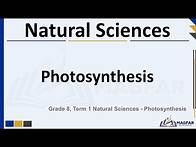 Video thumbnail for Grade 8 Term 1 Natural Sciences: Photosynthesis