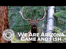 Video thumbnail for We Are Arizona Game and Fish