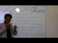 Video thumbnail for HIIKKAA JECHOOTA AFAAN OROMOO KUTAA 5FFAA.