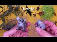 Video thumbnail for Australian Outback Wildlife Toys - Learn Australian Animal Names for Kids!