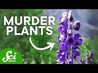 Video thumbnail for The Top 10 Deadliest Plants (They Can Kill You!)